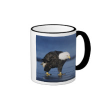 Bald Eagle, Haliaeetus leucocephalus,adult Coffee Mugs