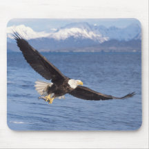 bald eagle, Haliaeetus leucocephalus, in flight 4 Mousepad
