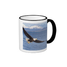 bald eagle, Haliaeetus leucocephalus, in flight 4 Coffee Mugs