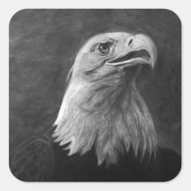 Bald Eagle, Hand Drawn Graphite Stickers