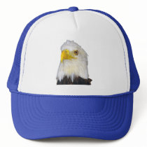 Bald Eagle Hat