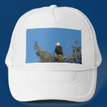 Bald Eagle Hat hats