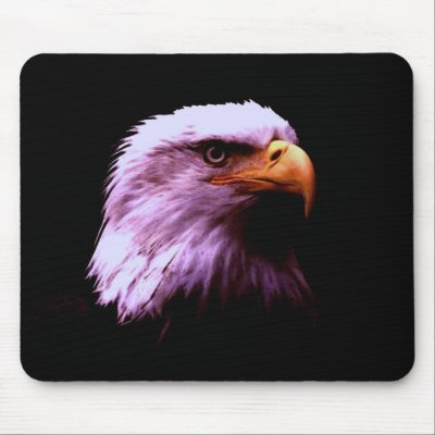 Bald Eagle Head Mouse Pad by made_in_atlantis