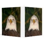 Bald Eagle Head On photograph design Vinyl Binders