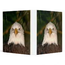 Bald Eagle Head On photograph design Vinyl Binders