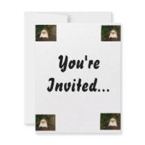 Bald Eagle Head On photograph design Personalized Announcement