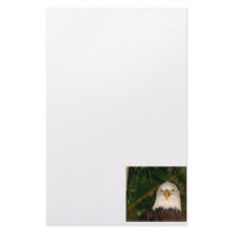 Bald Eagle Head On photograph design Custom Stationery