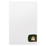 Bald Eagle Head On photograph design Customized Stationery