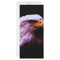 Bald Eagle Head rack cards by made_in_atlantis Bald Eagle Head rack cards