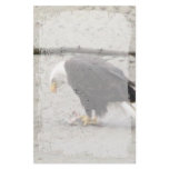 Bald Eagle Hoarding Fish; No Text Custom Stationery