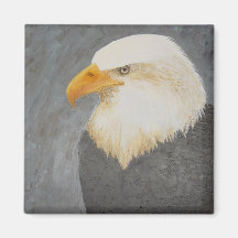 Bald Eagle I Magnet
