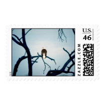 Bald Eagle in a Tree stamps