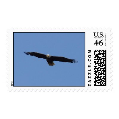 Bald Eagle in Flight: Postage by spiritswitchboard