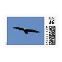 Bald Eagle in Flight: Postage postage