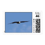 Bald Eagle in Flight: Postage