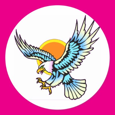 Bald Eagle in Flight Sticker Zazzle_sticker