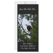 Bald Eagle in Tree Rack Card