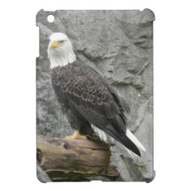 Bald Eagle iPad Mini Case
