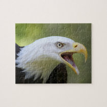 Bald Eagle jigsaw puzzle