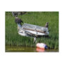 Bald Eagle Juveniles on a Fishing Skiff Postcards