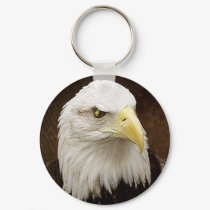 Bald Eagle keychains
