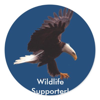 BALD EAGLE Landing Design Round Sticker by RavenSpiritPrints