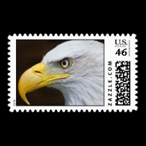 Bald Eagle Macro stamps