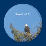 Bald Eagle Magnet magnets