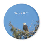 Bald Eagle Magnet Bald Eagle Magnet