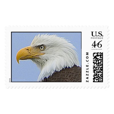 Bald Eagle MD-LG Postage by zazzler55811