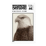 Bald Eagle (Medium) Stamp