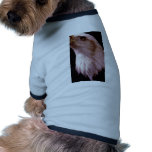 Bald eagle, moonlight dog tee