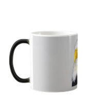 Bald Eagle Morphing Mug