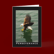 Bald Eagle Motivational Gift cards