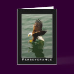 Bald Eagle Motivational Gift