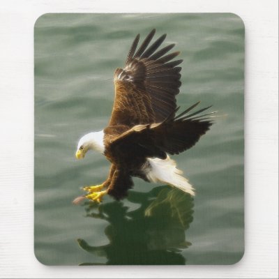 Bald Eagle Motivational Gift Mouse Pad by RavenSpiritPrints