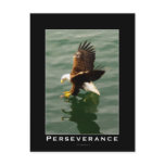 Bald Eagle Motivational Gift