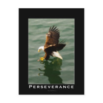 Bald Eagle Motivational Gift postcards by RavenSpiritPrints Bald Eagle Motivational Gift postcards