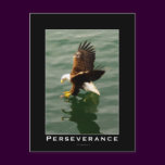 Bald Eagle Motivational Gift