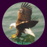Bald Eagle Motivational Gift