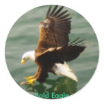 Bald Eagle Motivational Gift
