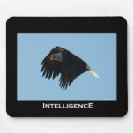 BALD EAGLE Motivational Mouse Mat