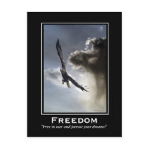 Bald Eagle Motivational Postcards