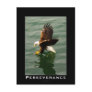 Bald Eagle Motivational Postcards