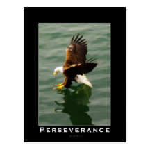 Bald Eagle Motivational Postcards