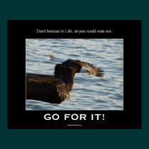 Bald Eagle Motivational Poster posters