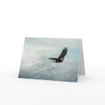 Bald eagle & mountains card