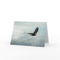 Bald eagle & mountains card