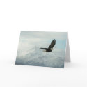 Bald eagle & mountains cards