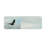 Bald Eagle & mountains Custom Return Address Labels